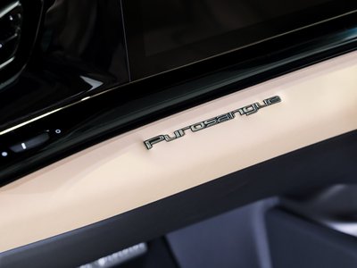 2024 Ferrari PUROSANGUE 缩略图 53