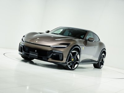 2024 Ferrari PUROSANGUE 缩略图 33