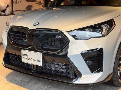 2025 BMW X2 photo 6