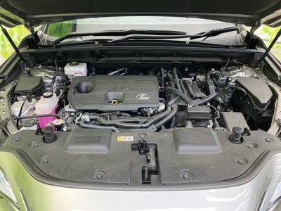 2024 Lexus NX — миниатюра 47