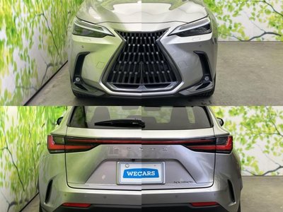 2024 Lexus NX — миниатюра 51