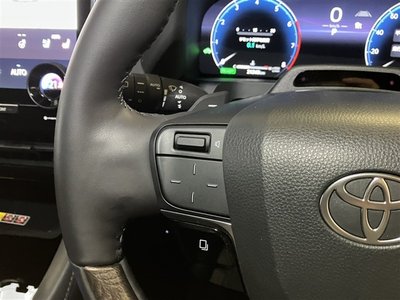 2025 Toyota ALPHARD 照片 29