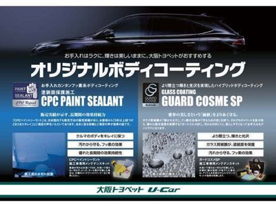 2025 Toyota ALPHARD 照片 52