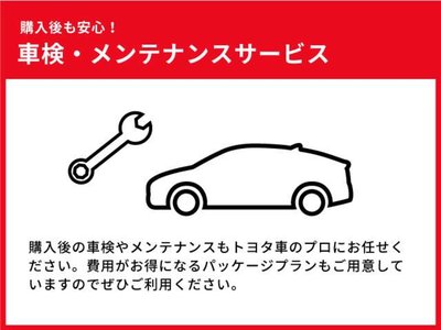 2025 Toyota ALPHARD 照片 61