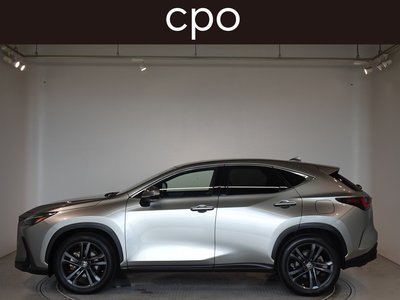 2021 Lexus NX 缩略图 6