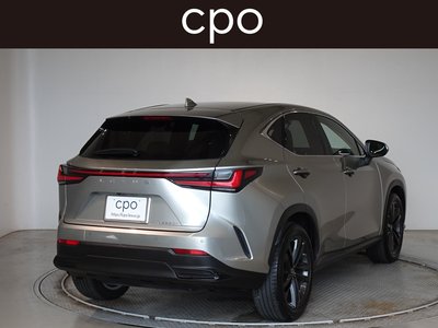 2021 Lexus NX 缩略图 8