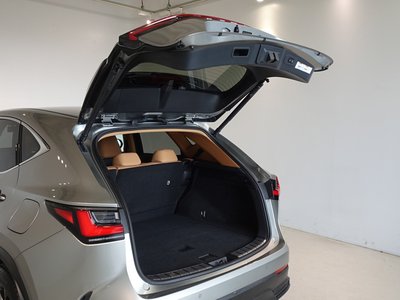 2021 Lexus NX 缩略图 22