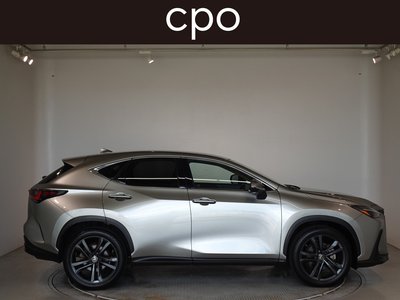2021 Lexus NX 缩略图 7