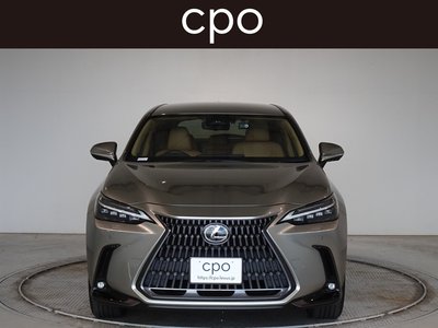 2021 Lexus NX 缩略图 5