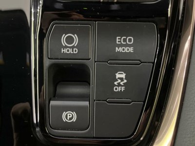 2025 Toyota ALPHARD 照片 26