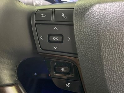 2025 Toyota ALPHARD 照片 35