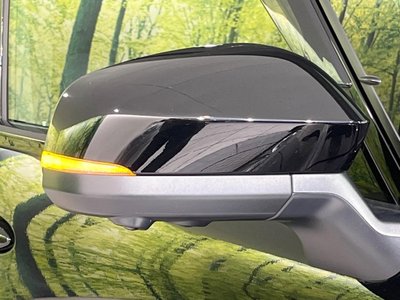 2025 Toyota ALPHARD 照片 63