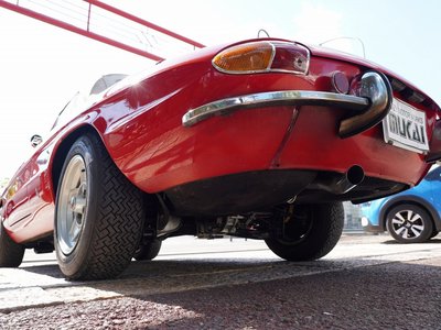 صورة 13 لـ 1993 ALFA Romeo ALFA SPIDER