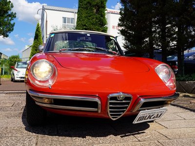 صورة 12 لـ 1993 ALFA Romeo ALFA SPIDER