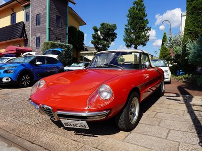 صورة 2 لـ 1993 ALFA Romeo ALFA SPIDER