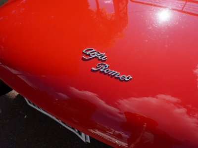صورة 17 لـ 1993 ALFA Romeo ALFA SPIDER
