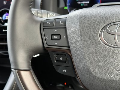 2026 Toyota ALPHARD 照片 26