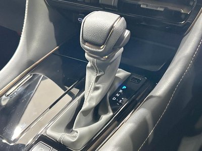 2025 Toyota ALPHARD 照片 24