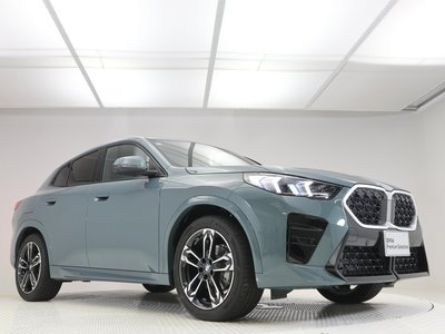 2026 BMW X2 thumbnail 19