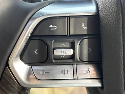 2025 Toyota LAND CRUISER 300 photo 13
