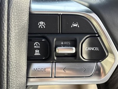 2025 Toyota LAND CRUISER 300 photo 14