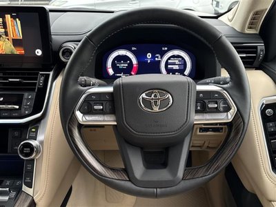 2025 Toyota LAND CRUISER 300 thumbnail 17