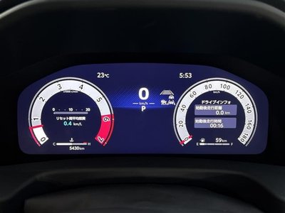2025 Toyota LAND CRUISER 300 photo 12