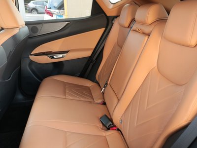 2024 Lexus NX 缩略图 40