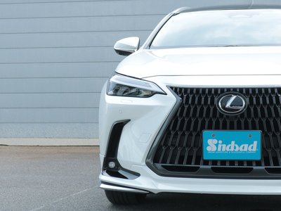 2024 Lexus NX 缩略图 16