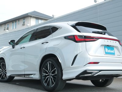 2024 Lexus NX 缩略图 22