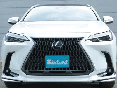 2024 Lexus NX 缩略图 32