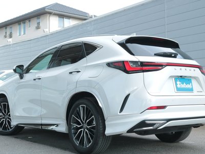 2024 Lexus NX 缩略图 8