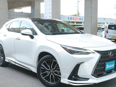 2024 Lexus NX 缩略图 23