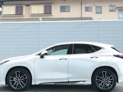 2024 Lexus NX 缩略图 33