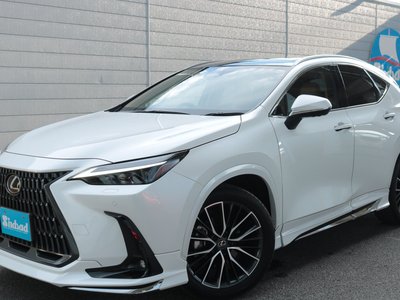 2024 Lexus NX 缩略图 24