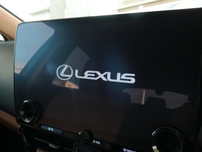 2024 Lexus NX 缩略图 18