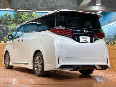 2024 Toyota ALPHARD 照片 30