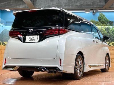 2024 Toyota ALPHARD 照片 18