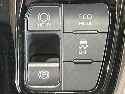 2024 Toyota ALPHARD 照片 53
