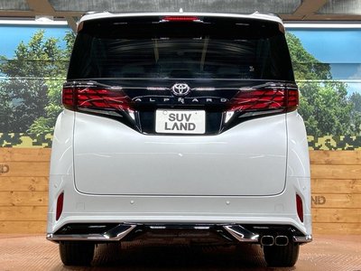 2024 Toyota ALPHARD 照片 16