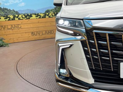 2022 Toyota ALPHARD 照片 14