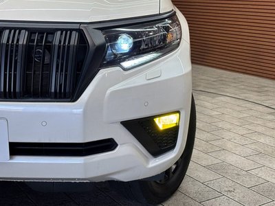 2022 Toyota LAND CRUISER PRADO — фото 29