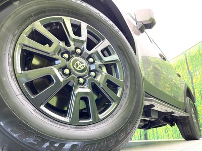 2024 Toyota LAND CRUISER 250 缩略图 14