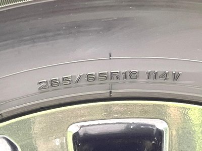 2024 Toyota LAND CRUISER 250 缩略图 75