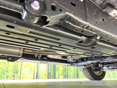 2024 Toyota LAND CRUISER 250 缩略图 67