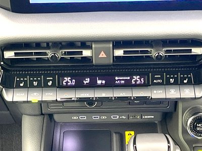 2024 Toyota LAND CRUISER 250 缩略图 50