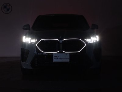2025 BMW X2 photo 13