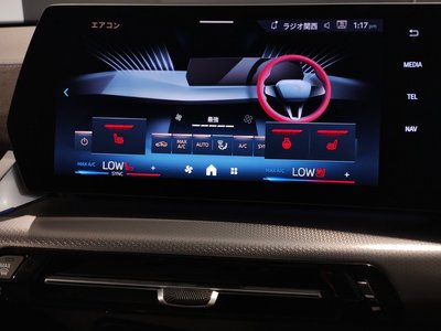 2025 BMW X2 thumbnail 36