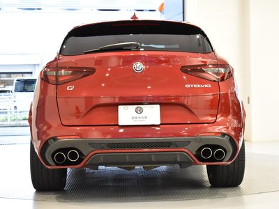 2019 ALFA Romeo STELVIO — фото 6