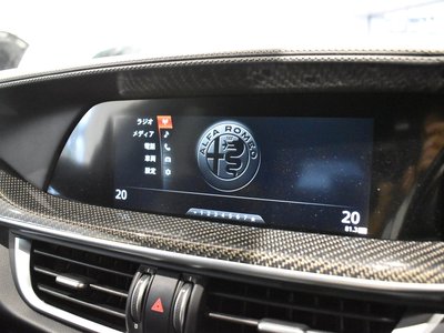 2019 ALFA Romeo STELVIO — фото 11